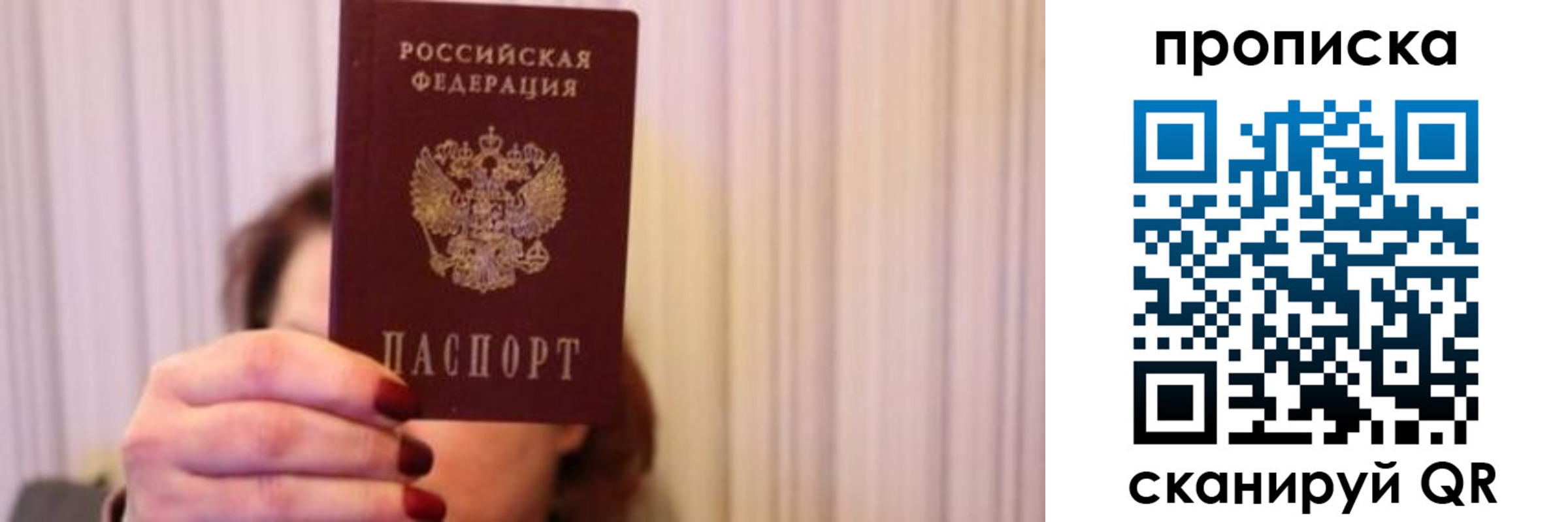прописка поиск в Тольятти