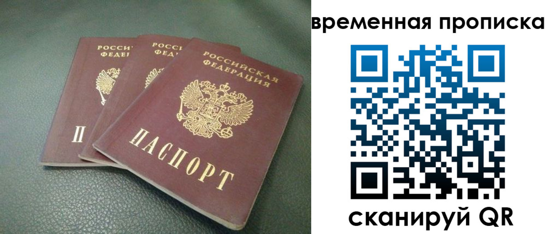 прописка гарантия в Тольятти